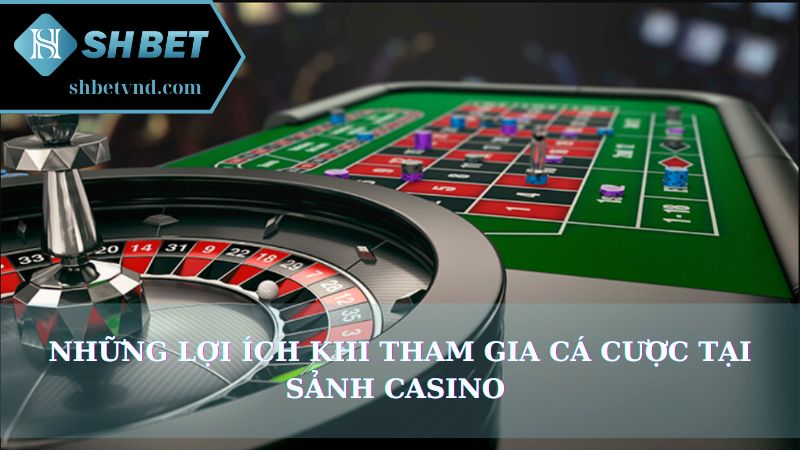 Những lợi ích khi tham gia cá cược tại sảnh Casino 